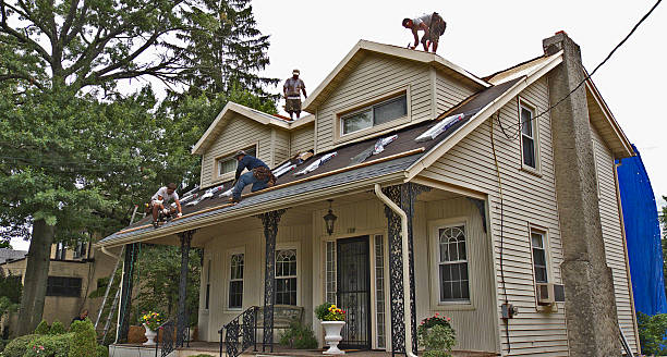 Best Storm Damage Roof Repair  in Vernon Valley, NJ